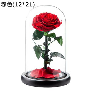  v[g KXh[ tFCNt[ vU[uht[  t[u[P  o  Vzj ?t[ NX}X ͂Ȃ bsv e[u z[