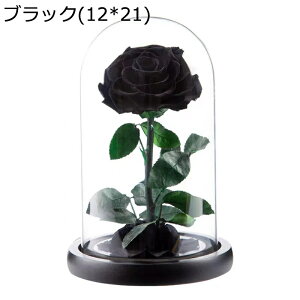  v[g KXh[ tFCNt[ vU[uht[  t[u[P  o  Vzj ?t[ NX}X ͂Ȃ bsv e[u z[