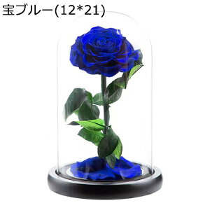  v[g KXh[ tFCNt[ vU[uht[  t[u[P  o  Vzj ?t[ NX}X ͂Ȃ bsv e[u z[