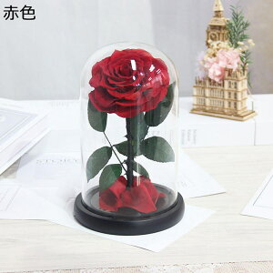 \[vt[  KXh[ a o ̓Mtg t[u[P V{t[ j Ǝ  hCt[ v[g Ԍ|p p 14*22cm tFCNt[