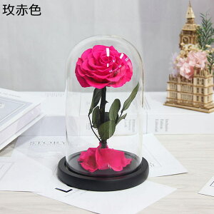 \[vt[  KXh[ a o ̓Mtg t[u[P V{t[ j Ǝ  hCt[ v[g Ԍ|p p 14*22cm tFCNt[