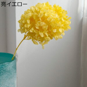 t[u[P Be  ppXOX bsv tFCNt[  ͂Ȃ   Mtg NX}X T}[Mtg K[th i  X ?? 