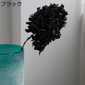 t[u[P Be  ppXOX bsv tFCNt[  ͂Ȃ   Mtg NX}X T}[Mtg K[th i  X ?? 