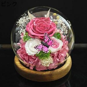  v[g o KXh[ tFCNt[ hCt[  t[u[P   Vzj ?t[ NX}X ͂Ȃ bsv e[u z[