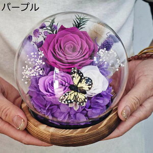  v[g o KXh[ tFCNt[ hCt[  t[u[P   Vzj ?t[ NX}X ͂Ȃ bsv e[u z[