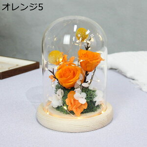  v[g KXh[ tFCNt[ vU[uht[  t[u[P zCgf[ \ 12*16cm ?t[ T}[Mtg ͂Ȃ bsv EBhE{bNX