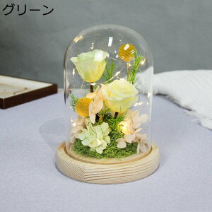  v[g KXh[ tFCNt[ vU[uht[  t[u[P zCgf[ \ 12*16cm ?t[ T}[Mtg ͂Ȃ bsv EBhE{bNX