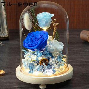  v[g KXh[ tFCNt[ hCt[ LO Be ̓  j Ǝ  ?t[ NX}X ͂Ȃ bsv AWg 