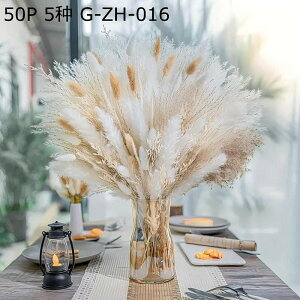 t[u[P ppXOX tFCNt[  ͂Ȃ t[  o^Cf[ K[th JXj w OB z[fR[V z[|[`