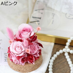 \[vt[ o  KXh[ LO hV̓ t[u[P V{t[ ސEj VN 蕨 vU[uht[ v[g z[|[` tFCNt[