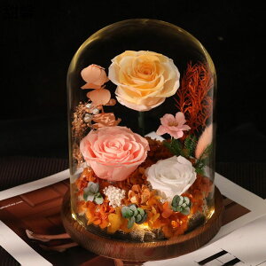  v[g KN KXh[ tFCNt[ vU[uht[  hCt[ JXj  ސE ?t[ NX}X ͂Ȃ bsv Be CeA