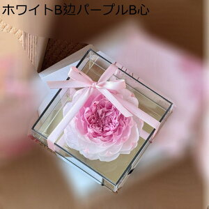 \[vt[ ?t[  KXh[ LO  o ̓ j t[u[P KN  JXj  ސE v[g z[|[` tFCNt[