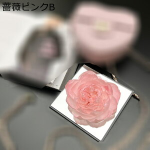 \[vt[ ?t[  KXh[ LO  o ̓ j t[u[P KN  JXj  ސE v[g z[|[` tFCNt[