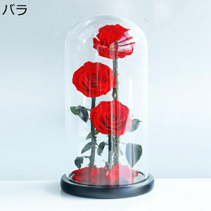 \[vt[ o  KXh[ ̓ 搶̓ t[u[P ?t[ j w i vU[uht[ v[g Be CeA tFCNt[