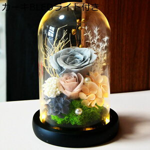  v[g KXh[ tFCNt[ vU[uht[ KN  ސEj VN 蕨 ?t[ T}[Mtg ͂Ȃ bsv  AWg 