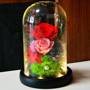  v[g KXh[ tFCNt[ vU[uht[ KN  ސEj VN 蕨 ?t[ T}[Mtg ͂Ȃ bsv  AWg 