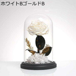  v[g KXh[ tFCNt[ vU[uht[  o t[u[P ސEj VN 蕨 ?t[ Mtg ͂Ȃ bsv Ԍ|p p
