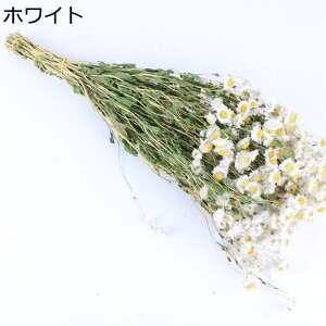 t[u[P 2 v[g tFCNt[  ͂Ȃ t[  zCgf[ \  K[th  JXj w i  X ??  