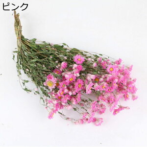 t[u[P 2 v[g tFCNt[  ͂Ȃ t[  zCgf[ \  K[th  JXj w i  X ??  