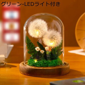  v[g KXh[ tFCNt[ ۂ vU[uht[  hCt[ JXj  ސE ?t[ NX}X ͂Ȃ bsv AWg 