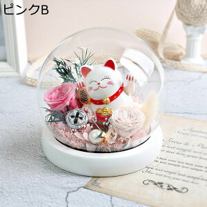  v[g KXh[ tFCNt[ t[u[P  t[u[P JXj  ސE ?t[ o^Cf[ ͂Ȃ bsv  ʐ^Be 