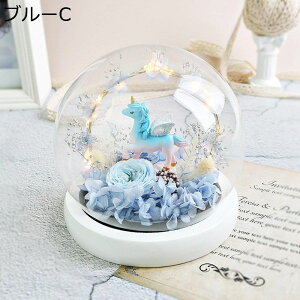  v[g KXh[ tFCNt[ t[u[P  t[u[P JXj  ސE ?t[ o^Cf[ ͂Ȃ bsv  ʐ^Be 