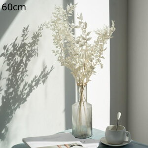  ppXOX 60cm t[u[P v[g ԃu[P tFCN  o^Cf[ v[g K[th  w AWg CeA EBhE{bN