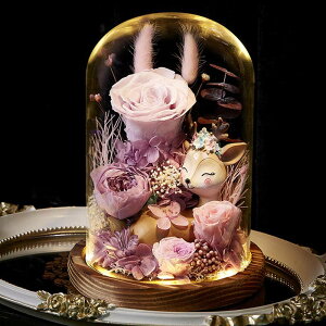 \[vt[   KXh[ ̓ 搶̓ t[u[P o V{t[   Vzj hCt[ v[g e[u z[ tFCNt[