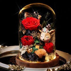 \[vt[   KXh[ ̓ 搶̓ t[u[P o V{t[   Vzj hCt[ v[g e[u z[ tFCNt[