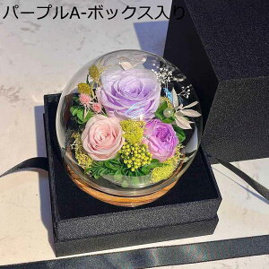 \[vt[  KXh[ {bNX LO hV̓ t[u[P V{t[ ސEj VN 蕨 hCt[ v[g e[u z[ tFCNt