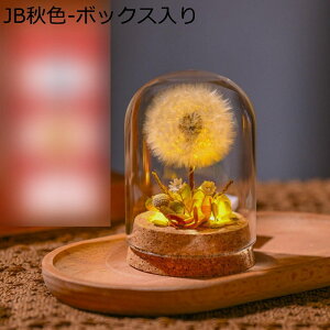 \[vt[  ۂ KXh[  ̓ t[u[P ?t[ JXj  ސE LEDCgt hCt[ v[g e[u z[ tFCNt[