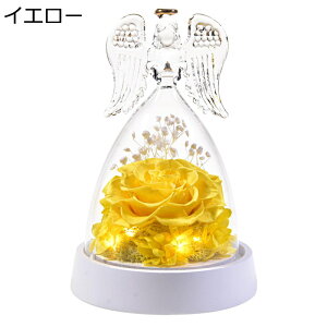 \[vt[  KXh[ LO hV̓ t[u[P V{t[ zCgf[ \ җj hCt[ v[g X ??  tFCNt[