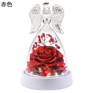 \[vt[  KXh[ LO hV̓ t[u[P V{t[ zCgf[ \ җj hCt[ v[g X ??  tFCNt[