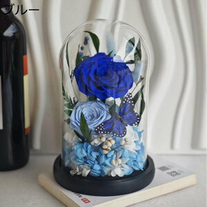  v[g KXh[ tFCNt[ vU[uht[  hCt[ j w oԑ ?t[ T}[Mtg ͂Ȃ bsv z[|[`