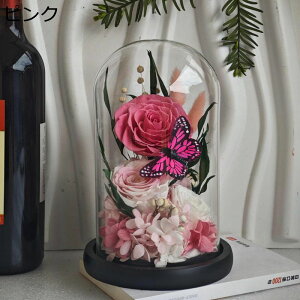  v[g KXh[ tFCNt[ vU[uht[  hCt[ j w oԑ ?t[ T}[Mtg ͂Ȃ bsv z[|[`