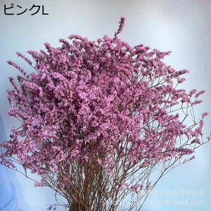 ݂ t[u[P v[g ԃu[P tFCN  ͂Ȃ t[  Mtg NX}X T}[Mtg K[th j  Be e[u z[