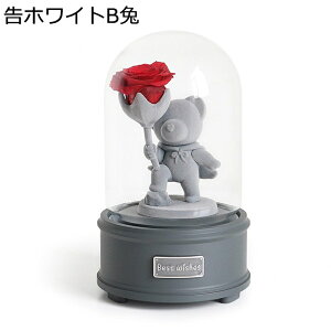 ���� �v���[���g �K���X�h�[�� �t�F�C�N�t�����[ ���I �v���U�[�u�h�t�����[ ���� �v���U�[�u�h�t�����[ ���j�� ���Ǝ� ���� ��?�t�����[ �o�����^�C���f�[ �����b�s�v �A�����W�����g ����