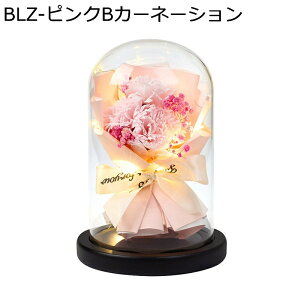 \[vt[  KXh[  ̓ t[u[P  ?t[ j Ǝ  hCt[ v[g  ʐ^Be  ~  tFCNt[