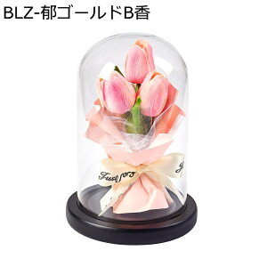 \[vt[  KXh[  ̓ t[u[P  ?t[ j Ǝ  hCt[ v[g  ʐ^Be  ~  tFCNt[