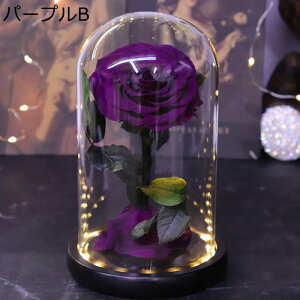 \[vt[  KXh[  ̓ o  Q ʐ^Be t[u[P ?t[ ސEj VN 蕨 v[g X ??  tFCNt[