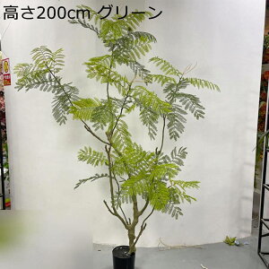  WJ_ GgX  z[ ^  tFCNO[ lHΐA j JXj ̓ bsv ₷  { O[i[Ct Mtg