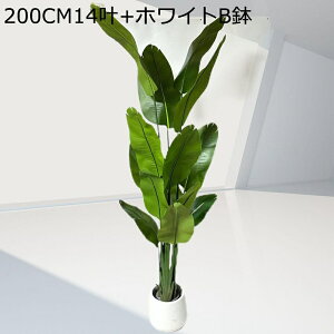 人工観葉植物 (旅人の木) 屋外 インテリア雑貨 大型 造花 人工樹木 店舗 風景 家庭 室内 裏庭 事務所 フェイクグリーン 装飾り お祝い デコ用 グリーナリーライフ お手入れ簡単 害虫が発生し