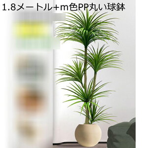 ze hZi rO [ ɒuA  ^  tFCNO[ lH~  fRp ͂Ȃ sv b炸 { _ԂɍœK Mtgɂ