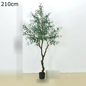 I[u̖ lHϗtA ^  ϗtA X i ƒ    tFCNO[ j JXj ̓ _ԂɍœK ȒP QȂ