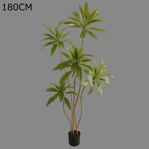 K[f JtF Lb` xbh[ ^  tFCNO[ lH~ j JXj ̓ ͂Ȃ sv b炸  { _ԂɍœK Mtg