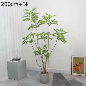 lHϗtA  ^ lHΐA O ItBX CeA CeAO[ tFCNO[ v[g zj  ̓ O[i[Ct bsv ₷