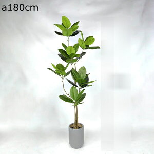 pL lHϗtA tFCNO[ ϗA  vX`bN X i ƒ   ^ _ԂɍœK v[g zj  bsv ₷