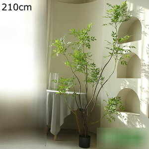 ze rO [ ɒuA   tFCNO[ V| lHϗtA ^  j fRp ͂Ȃ sv b炸 A O[i[Ct Mtg