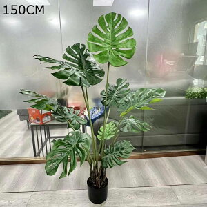 Xe lHϗtA ^  lHΐA  GgX  z[ tFCNO[ v[g zj  ̓ O[i[Ct ȒP QȂ