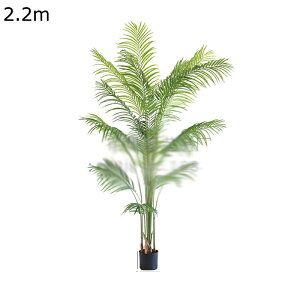 lHϗtA ^ AJV  lH X i ƒ  Vv    tFCNO[  j fRp O[i[Ct bsv ₷